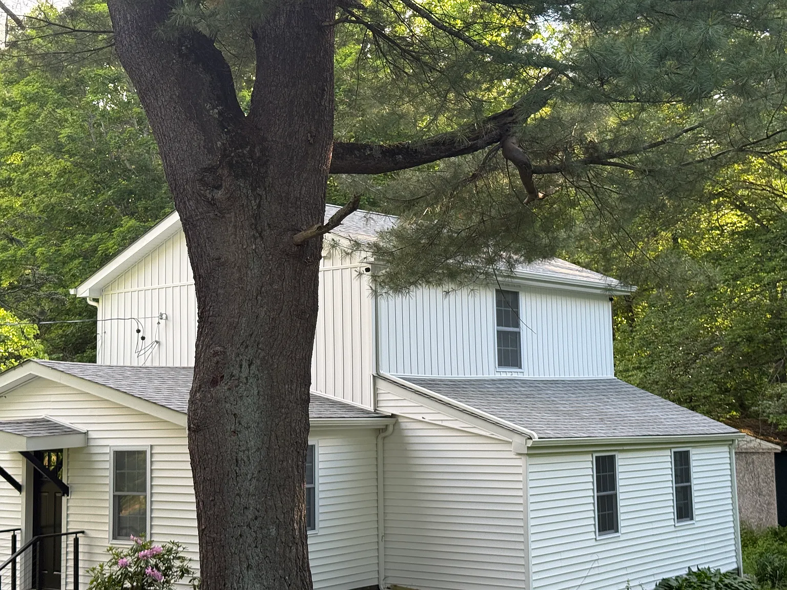 3 bed, 1500 sqft, $3,400 — Photo 1