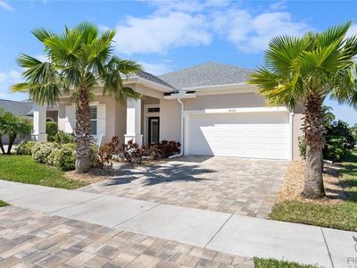 3048 Borassus Dr, New Smyrna Beach, FL, 32168