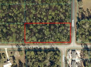 LOT 19 SW Ivy Pl LOT 19, Dunnellon, FL 34431