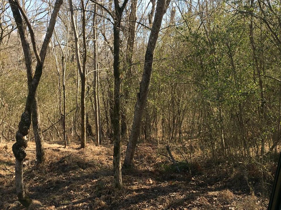 1st image of 160 Tanglewood Ln