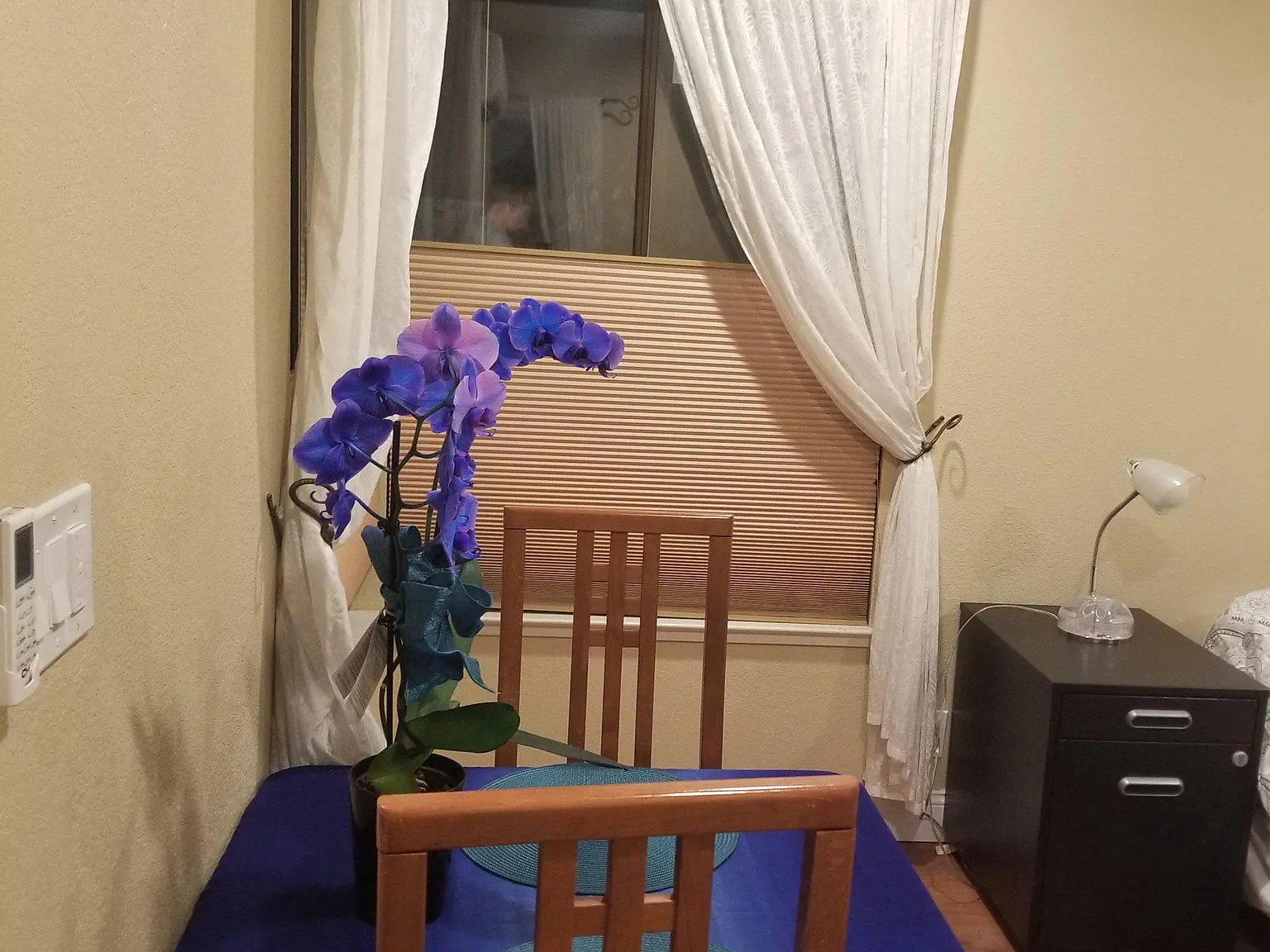 Studio, 350 sqft, $2,900 — Photo 4