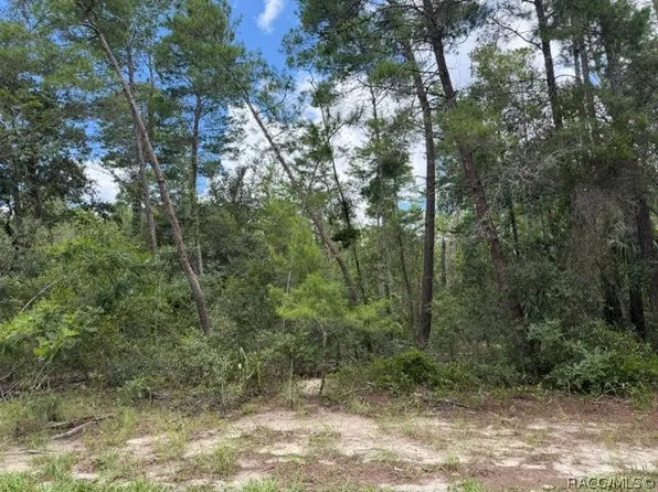 13 & 16 Petunias Ct #15, Homosassa, FL 34446