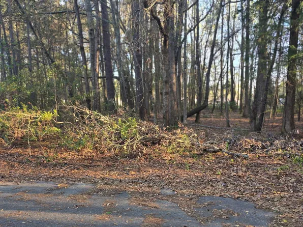 12 Freeman St, Brunson, SC 29911