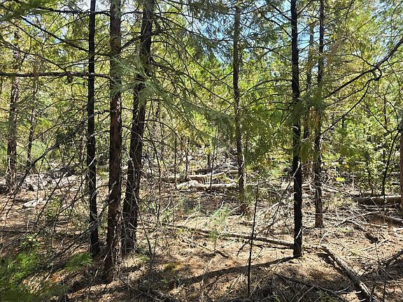 2nd image of 6026 Traverse Creek Rd