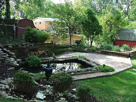Koi pond