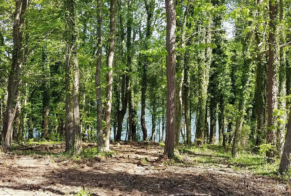 2nd image of Scenic Lakeview Dr