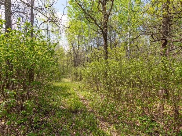 Stephani Rd NW, Puposky, MN 56667