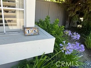 15 Elderberry — Photo 117