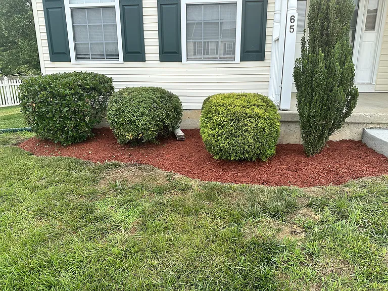65 Hatteras Dr — Photo 3