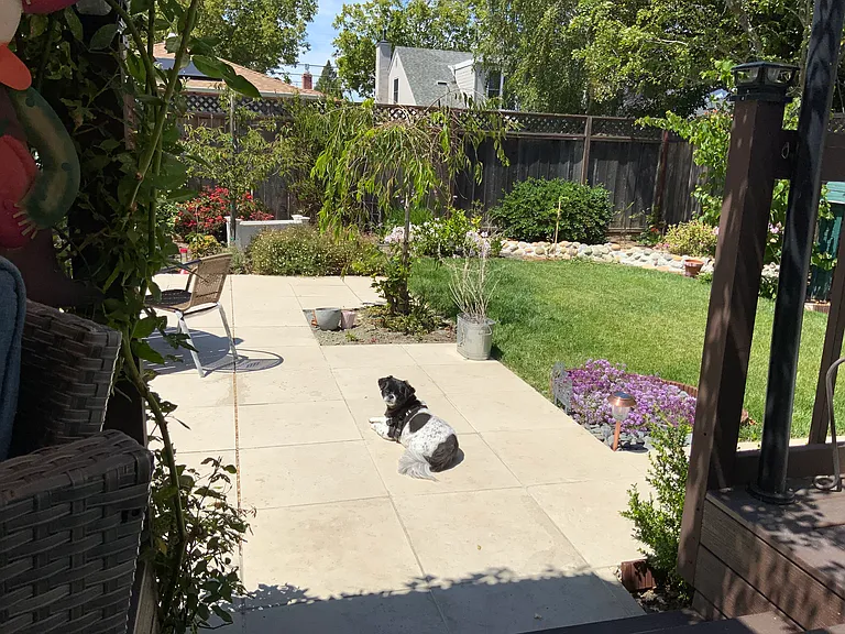 238 26th Ave — Photo 7