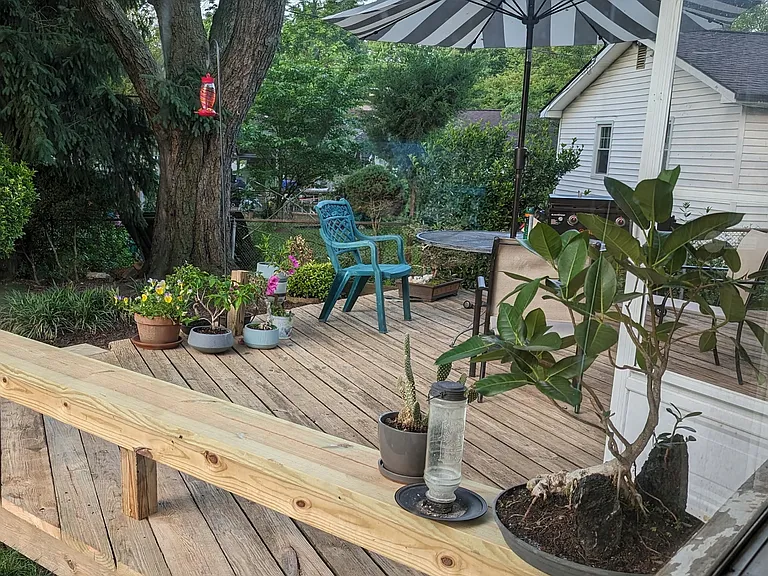 Evelyn Dr — Photo 2