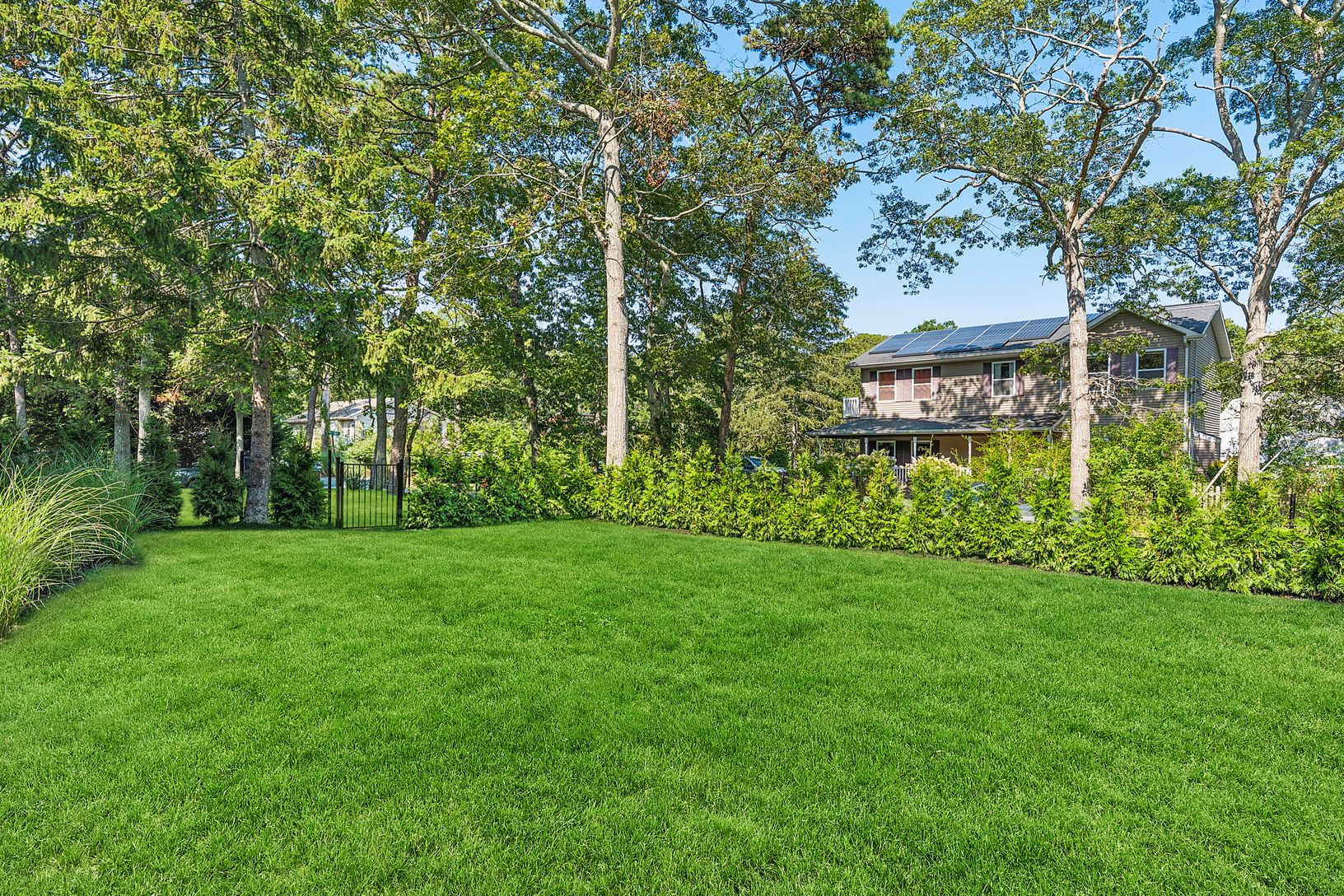  EXPANSIVE YARD HEDGED IN WITH GREENGIANT TREES FOR PRIVACY