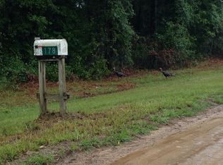 178 E 10th Way, Greenville, FL 32331