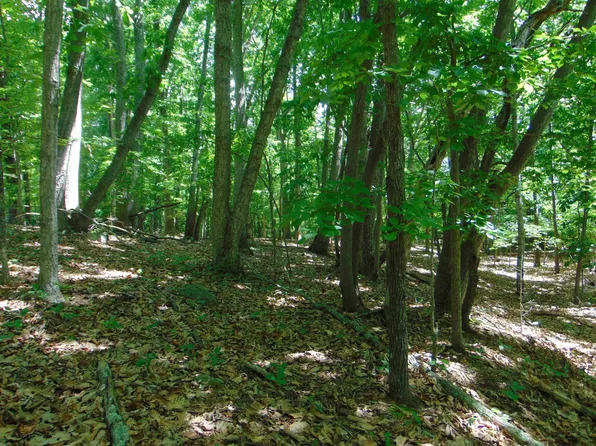 0 Elizabeth Ct #31, Roxboro, NC 27573