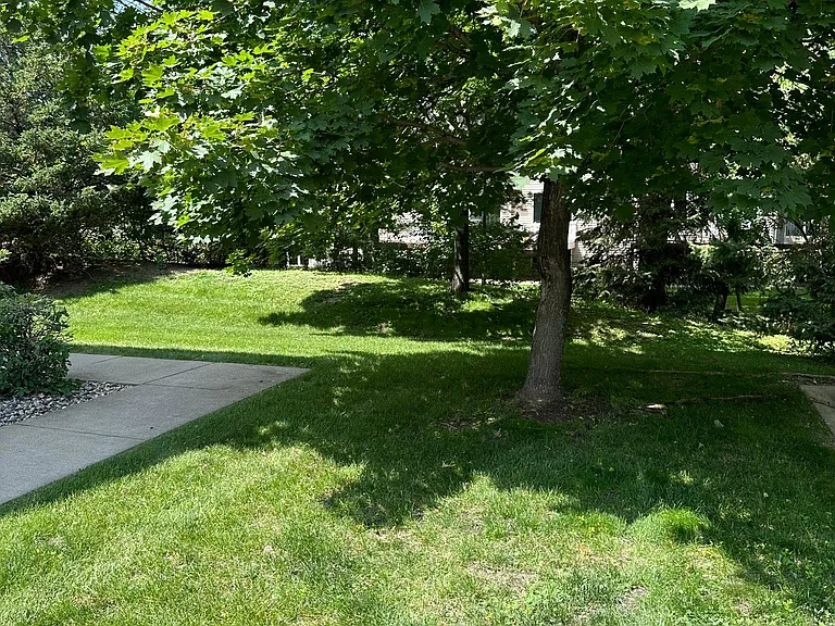 Hackberry Ct — Photo 18