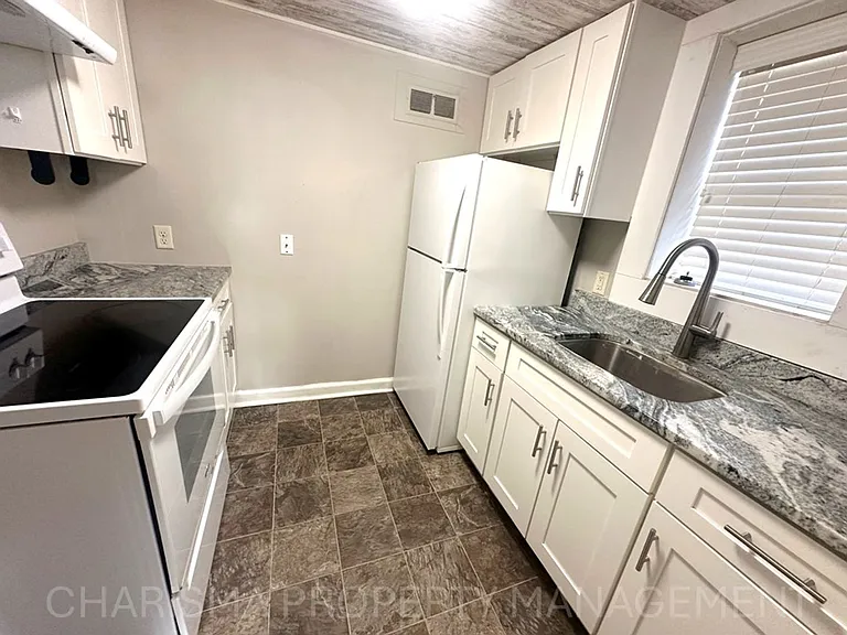 917 S 1st Ave #4 — Photo 16