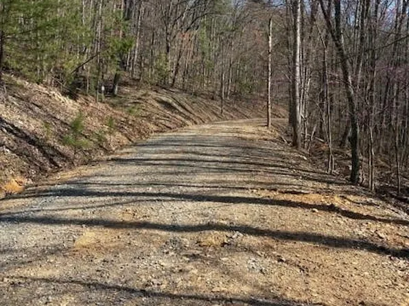 1135 Embry Ct #1135, Ranger, GA 30734