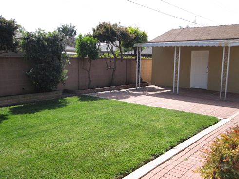 Back yard and covered patio