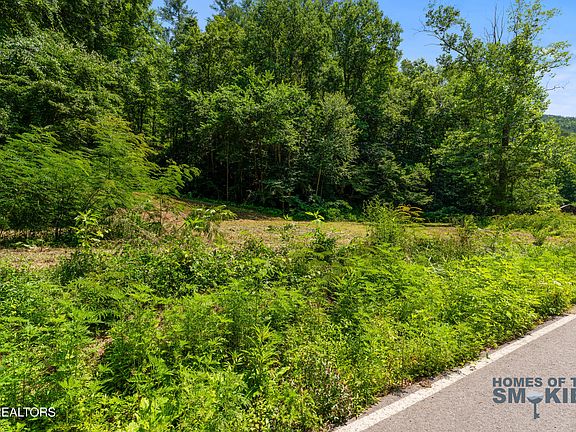 5th image of LOT 1 Carrs Creek Rd