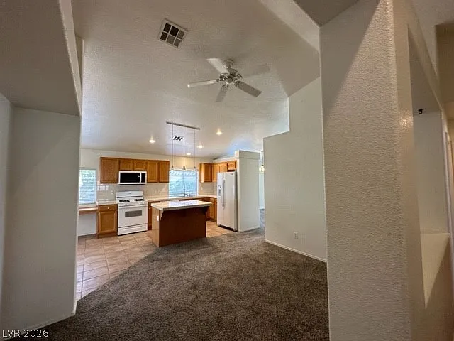 285 Spring Palms St — Photo 15