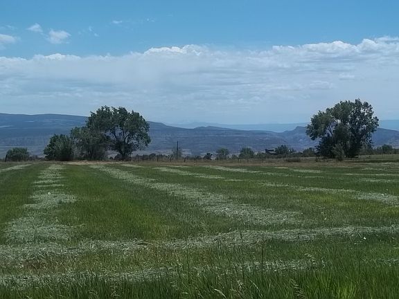 View to South