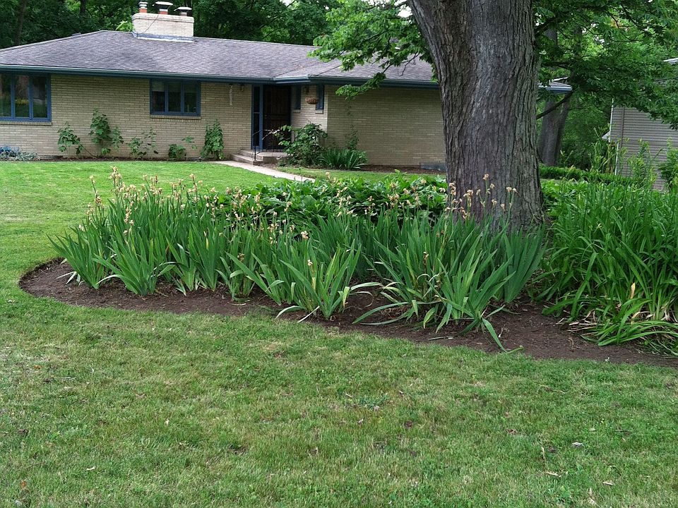 Large well-maintained yard