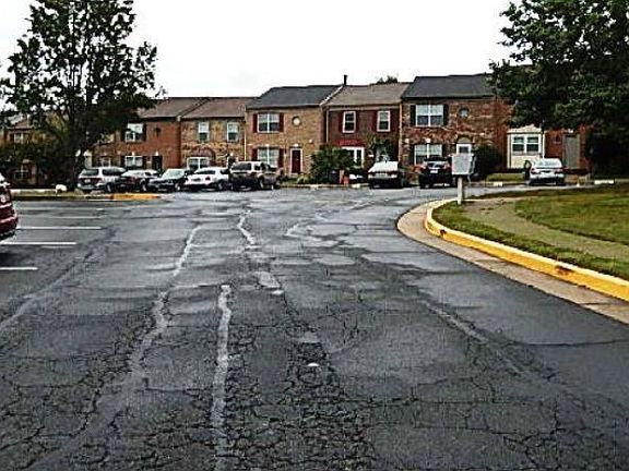 3rd image of 3388 Ladino Ct