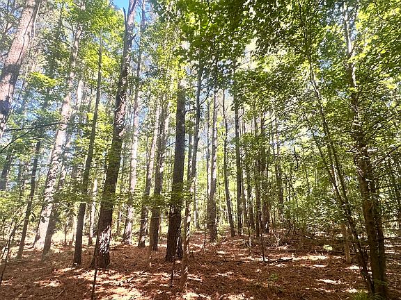 3rd image of 0 Pineville Rd