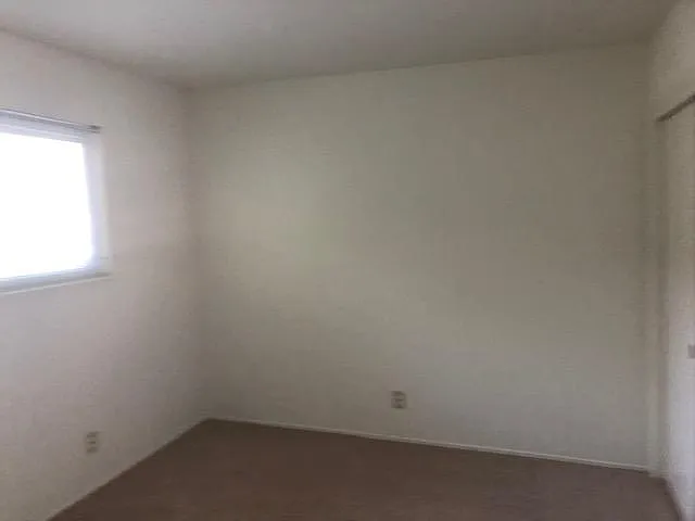 1537 Santa Clara Ave #D — Photo 14
