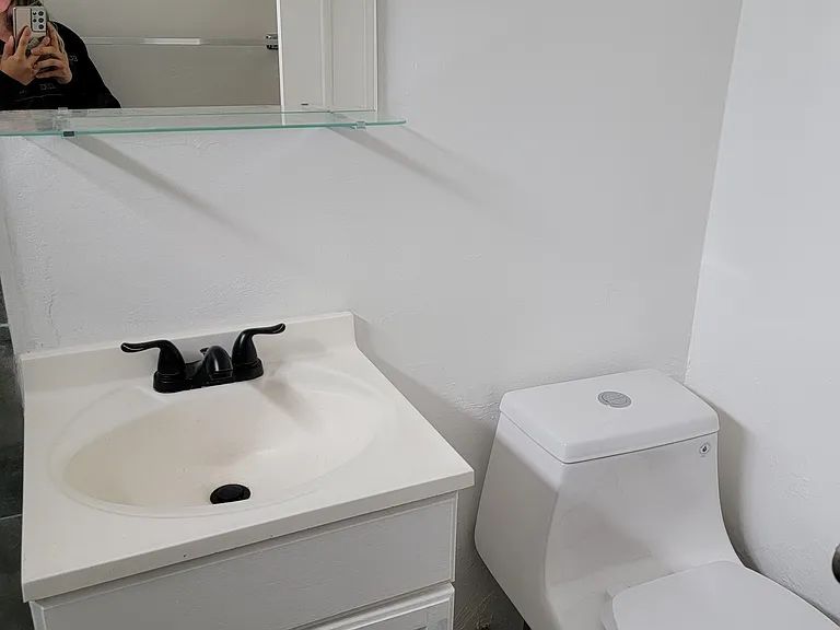 Dual flush toilet