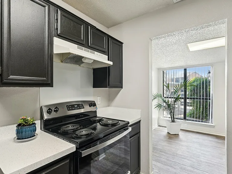 10-web-or-mls-4047 Childress Ave 4113101 Mesquite-1804-010