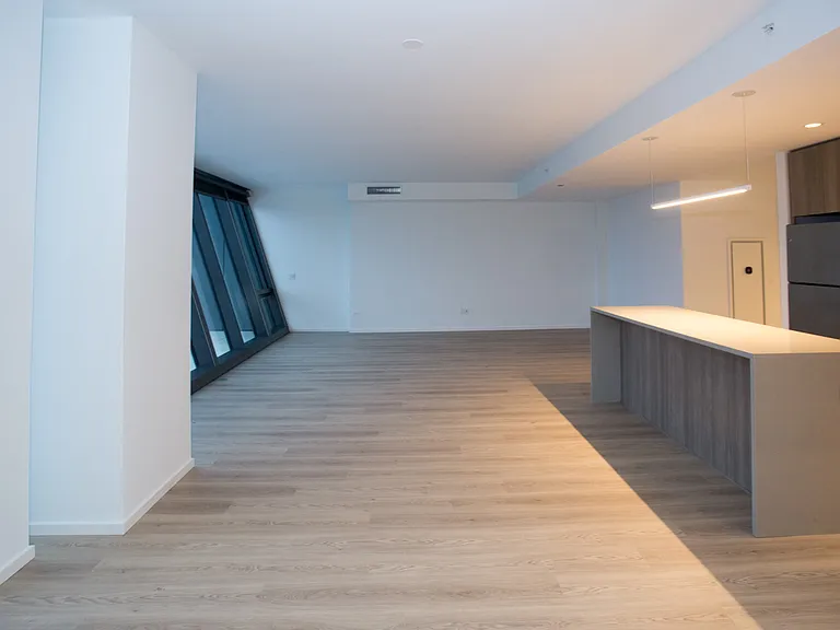Dining/Living room