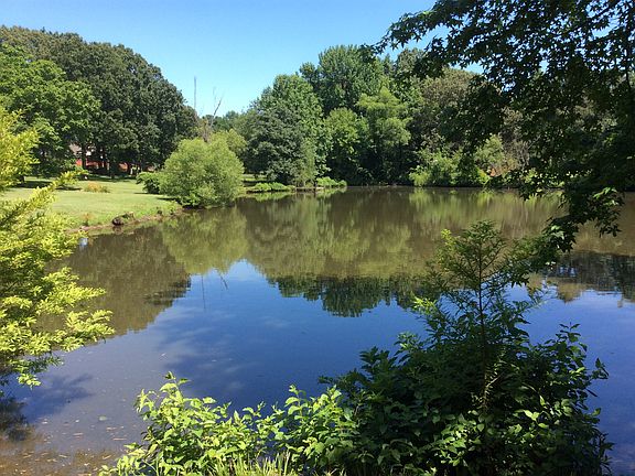 4th image of 7895 Hunters Creek Dr