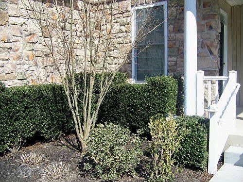 5th image of 1704 Magnolia Ct