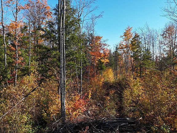 2nd image of Lot 5 Long pine  Road