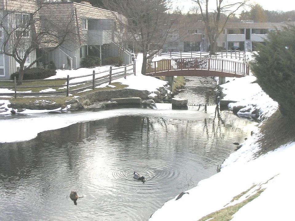 Lovely Pond