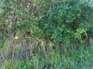 Pine Radl LOT 15, Ocala, FL 34472