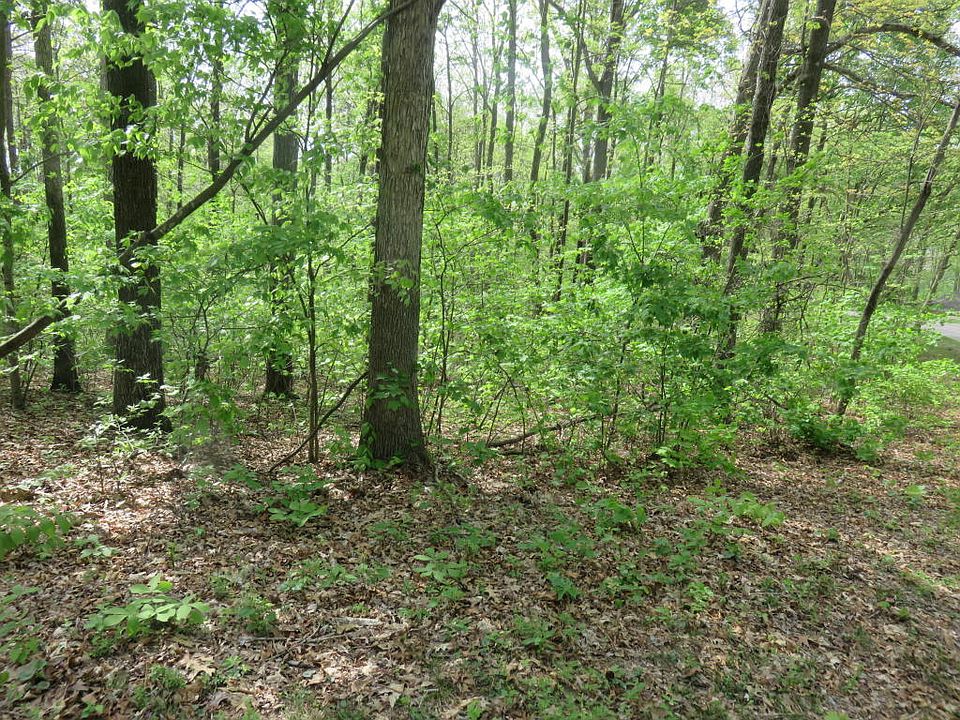 2nd image of 126 Doya Ln