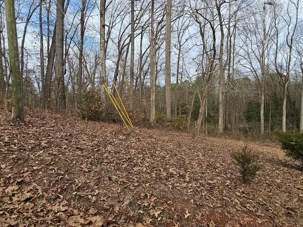 343 Gumlog Grove Rd, Lavonia, GA 30553