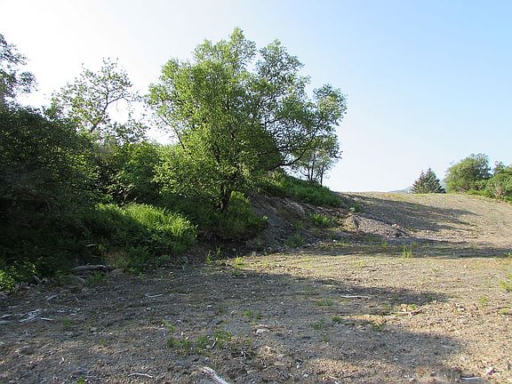 2nd image of 10651 Chiniak Dr