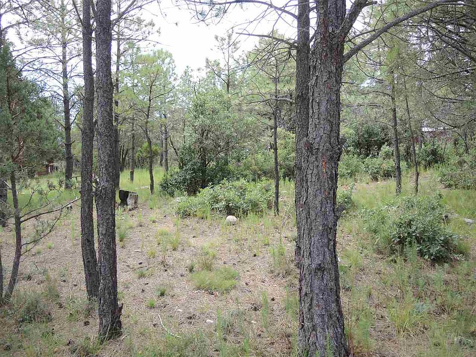 2nd image of 187 Carson Drive