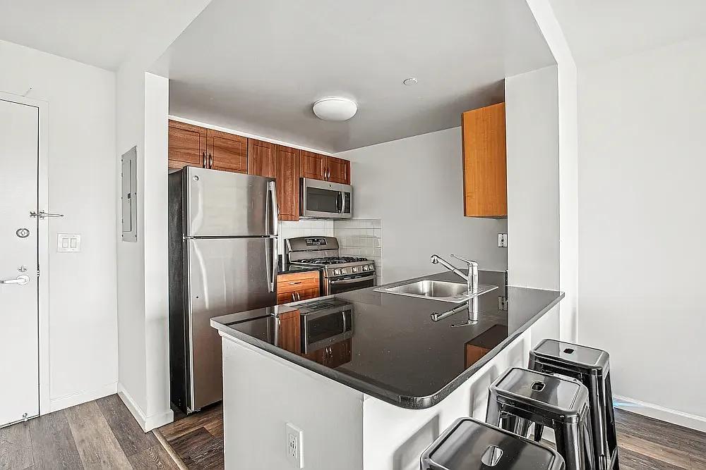 229 Chrystie Street — Photo 1