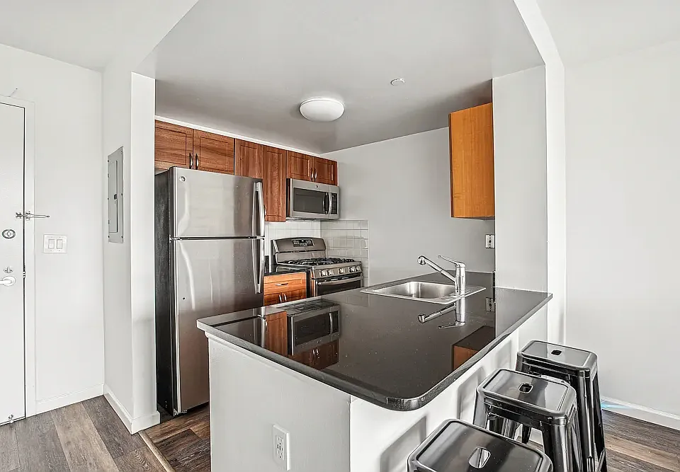 229 Chrystie St #1413-A
