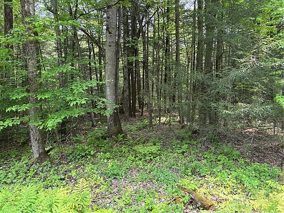 4th image of Spring Rd S Lot 12