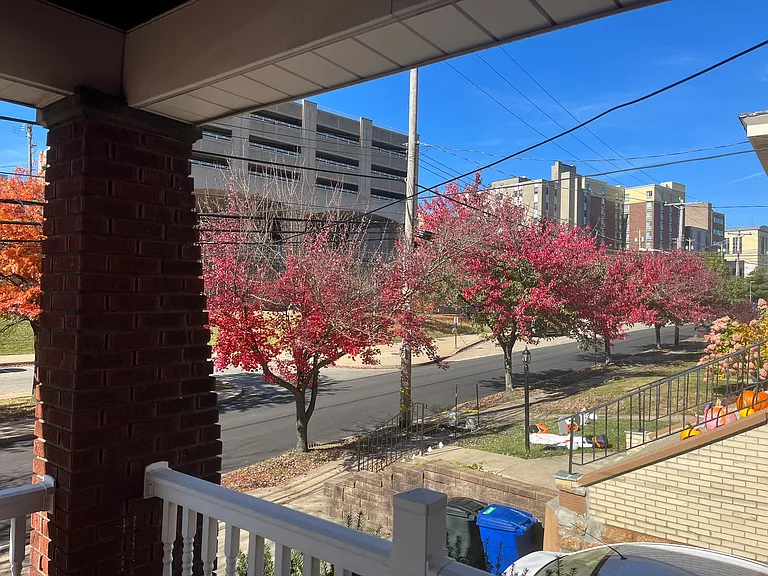 Fall foliage in Shady Drive East, right from your porch! Nothing quite like it in all of Pittsburgh.