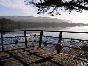 View from Deck