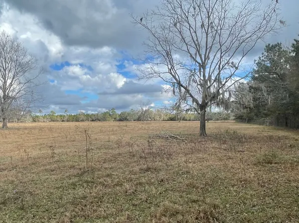 Hogan Rd #35.34, Wellborn, FL 32094