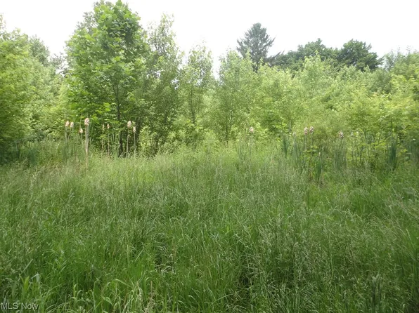 Brigden, North Bloomfield, OH 44450