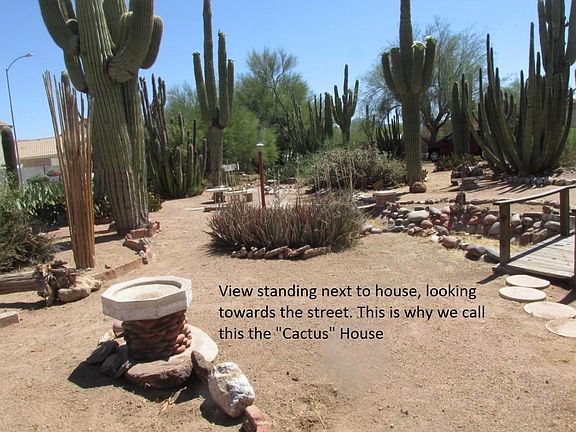 View from your front yard