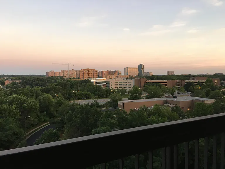 3705 S George Mason Dr #1108S — Photo 19